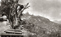 Antananarivo Madagascar Hillside City Rova Palace Cannons Vtg. Photo 19thC.
