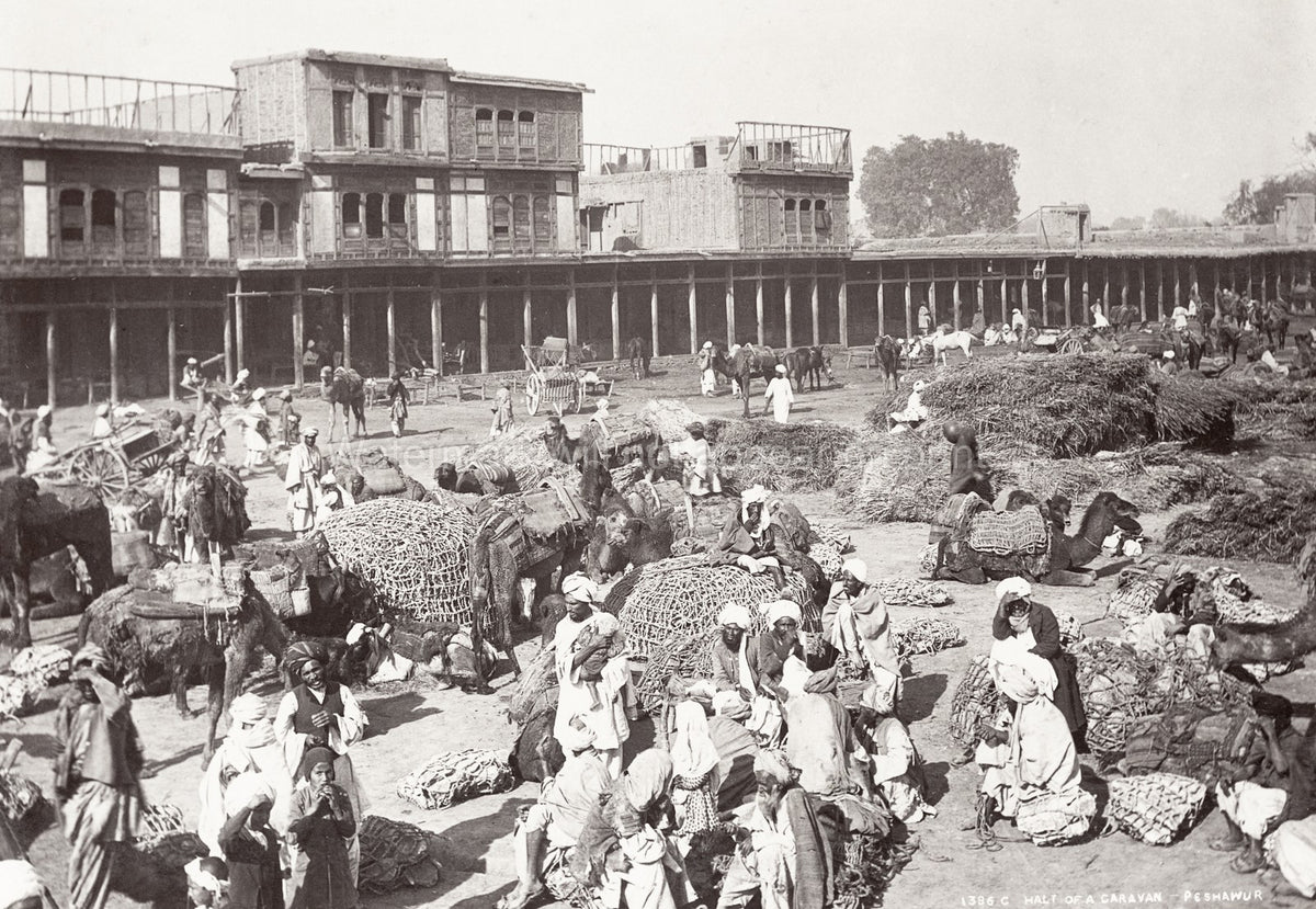 Peshawar Camel Caravan Halt Khyber Pass Traders Marketplace Vtg. Photo 19thC.