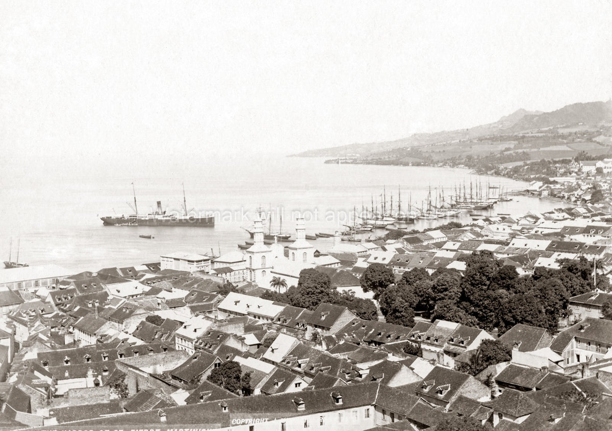 St. Pierre Martinique Harbour Cityscape Rooftops Ships Bay Vtg. Photo 20thC.