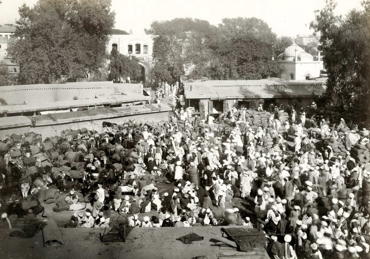 Peshawar India Street Market Scene Crowd Traders Pack Animals Vtg. Photo 19thC.