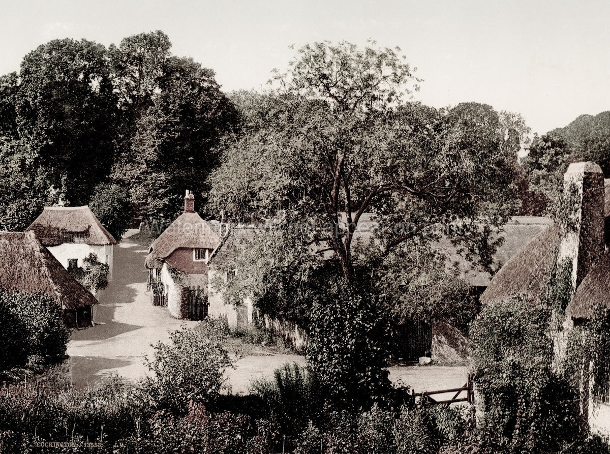 Cockington Devon English Village Thatched Roof Cottages Rural Vtg. Photo 19thC.
