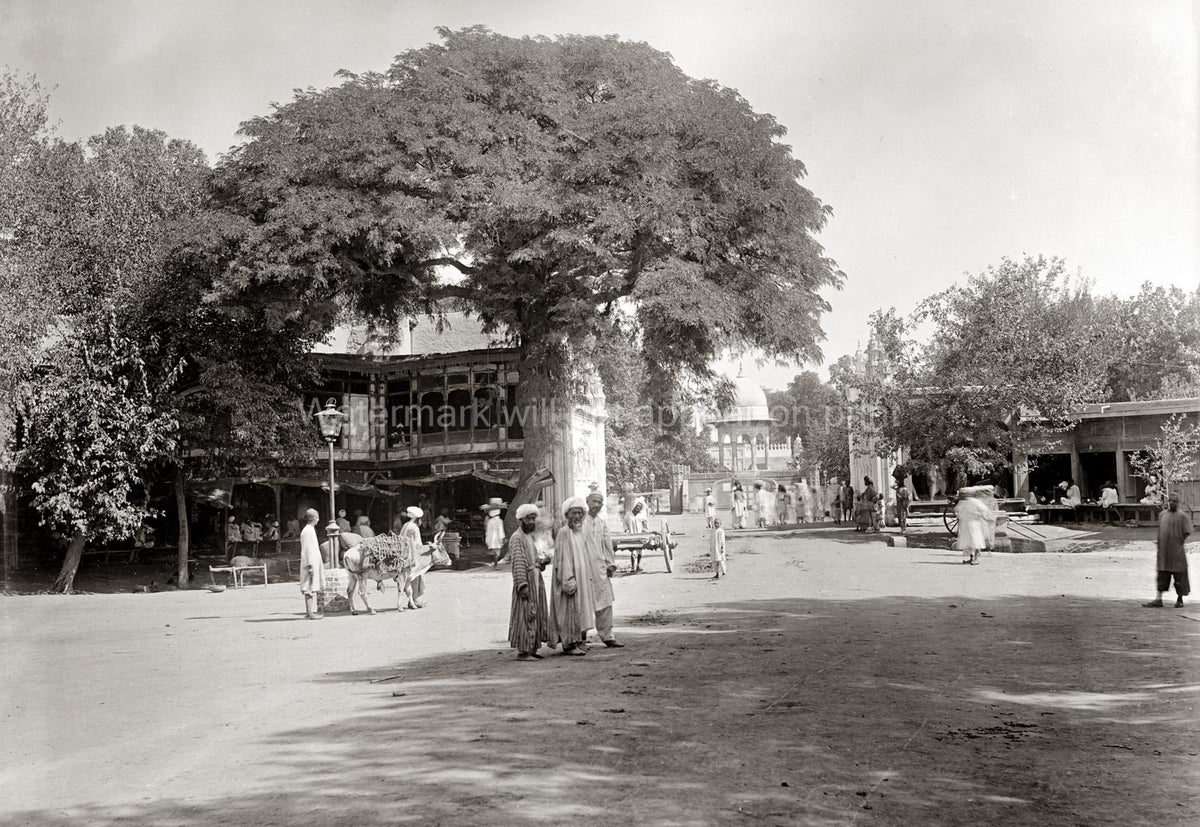 Peshawar India NW Frontier Street Scene Market People Tree Vtg. Photo 19thC.
