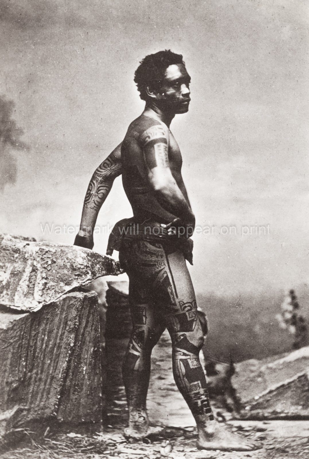 Marquesan Man Heavily Tattooed Indigenous Warrior Portrait Vtg. Photo 19thC.