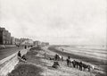 Burnham-on-Sea Somerset Esplanade Beach Donkeys Seaside Vtg. Photo 19thC.