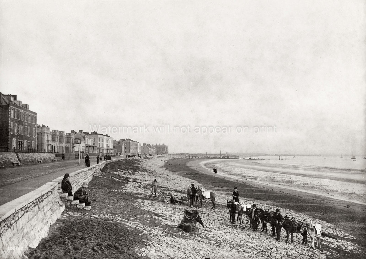 Burnham-on-Sea Somerset Esplanade Beach Donkeys Seaside Vtg. Photo 19thC.