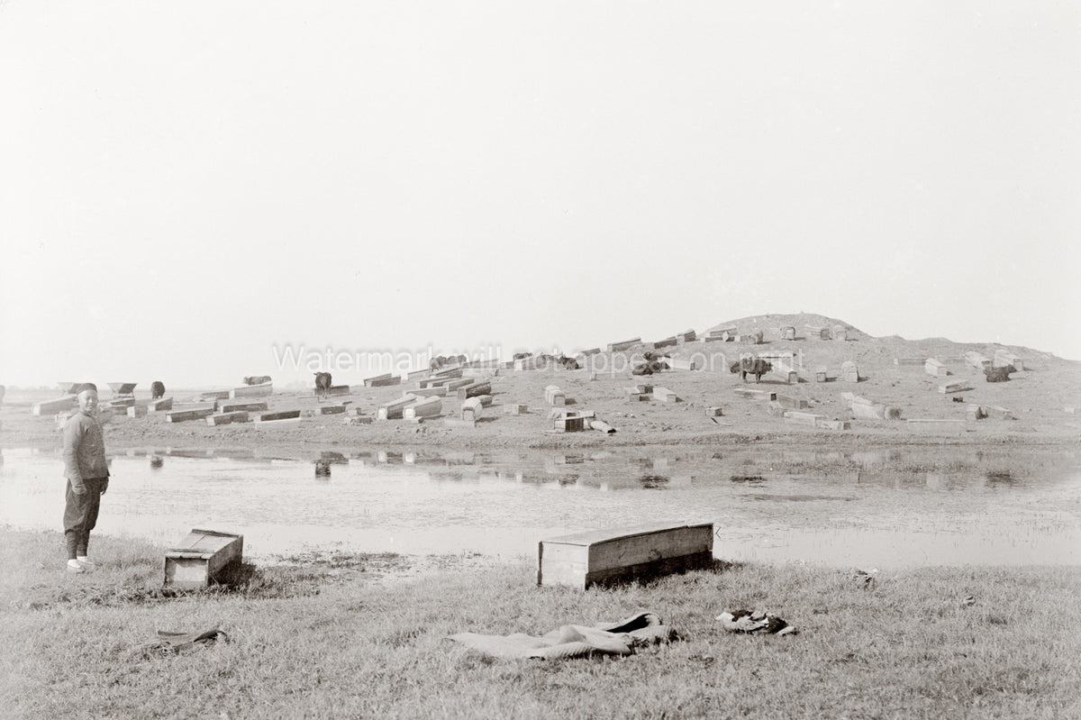 China Graveyard Cemetery Coffins Ground Burial Man Rural Vtg. Photo 19thC.