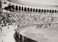 Spain Bull Fighting Matador Bullring Arena Crowd Spectators Vtg. Photo 19thC.