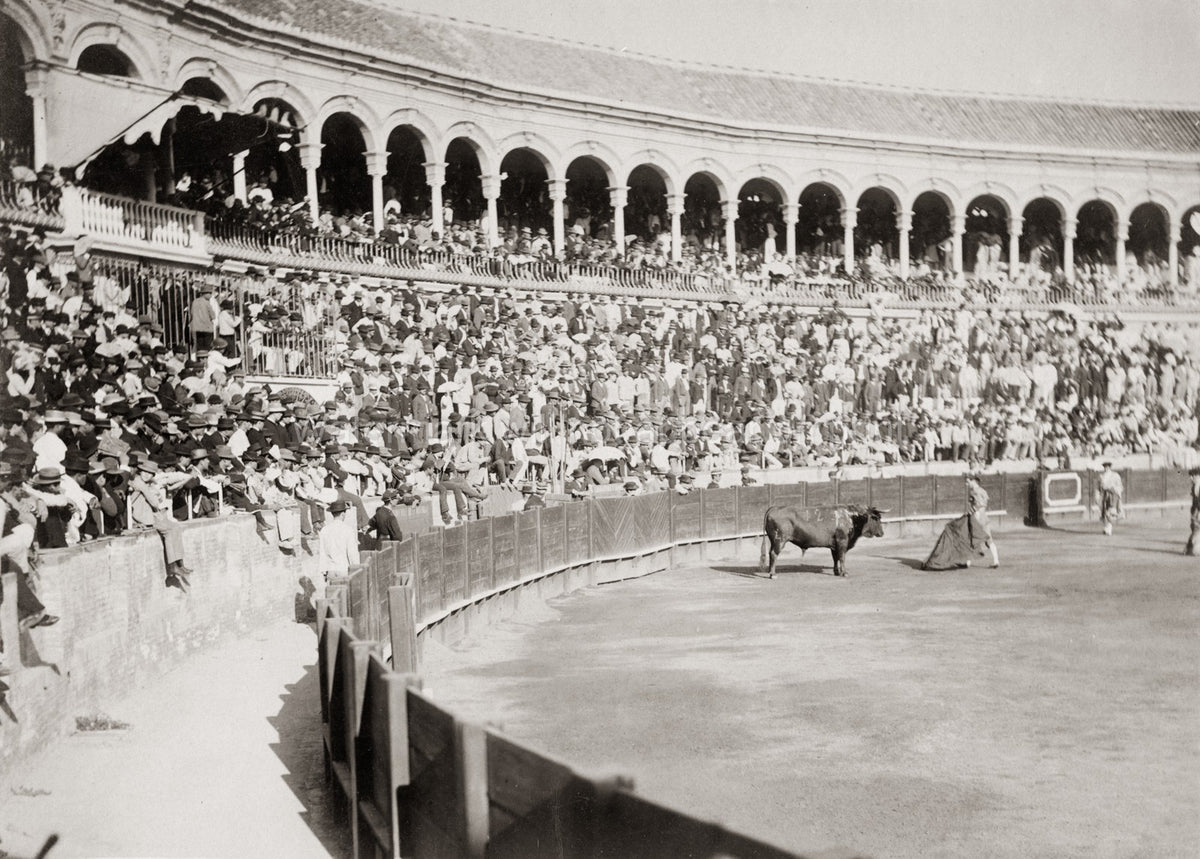 Spain Bull Fighting Matador Bullring Arena Crowd Spectators Vtg. Photo 19thC.