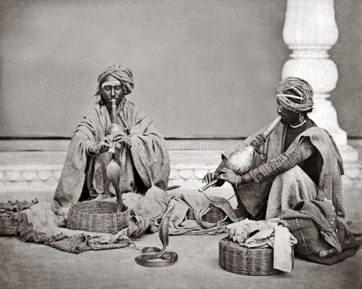 India Snake Charmers Musicians Cobras Baskets Turbans Vtg. Photo 19thC.