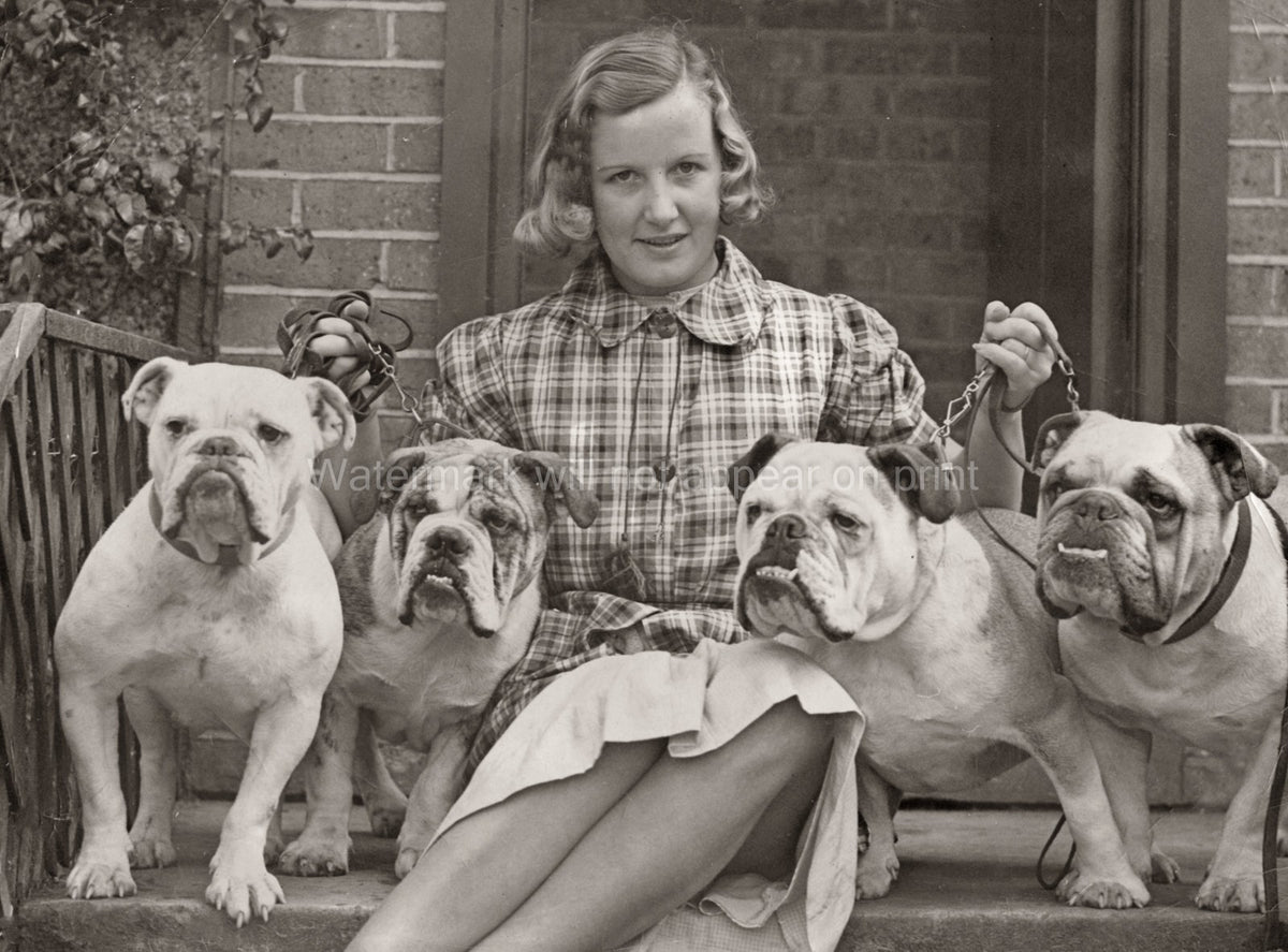Crufts Dog Show Bulldogs Woman Exhibitor Champion Dogs Posed Vtg. Photo 20thC.