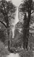 Yosemite Falls California Waterfall Forest Nature Vtg. Photo 19thC.