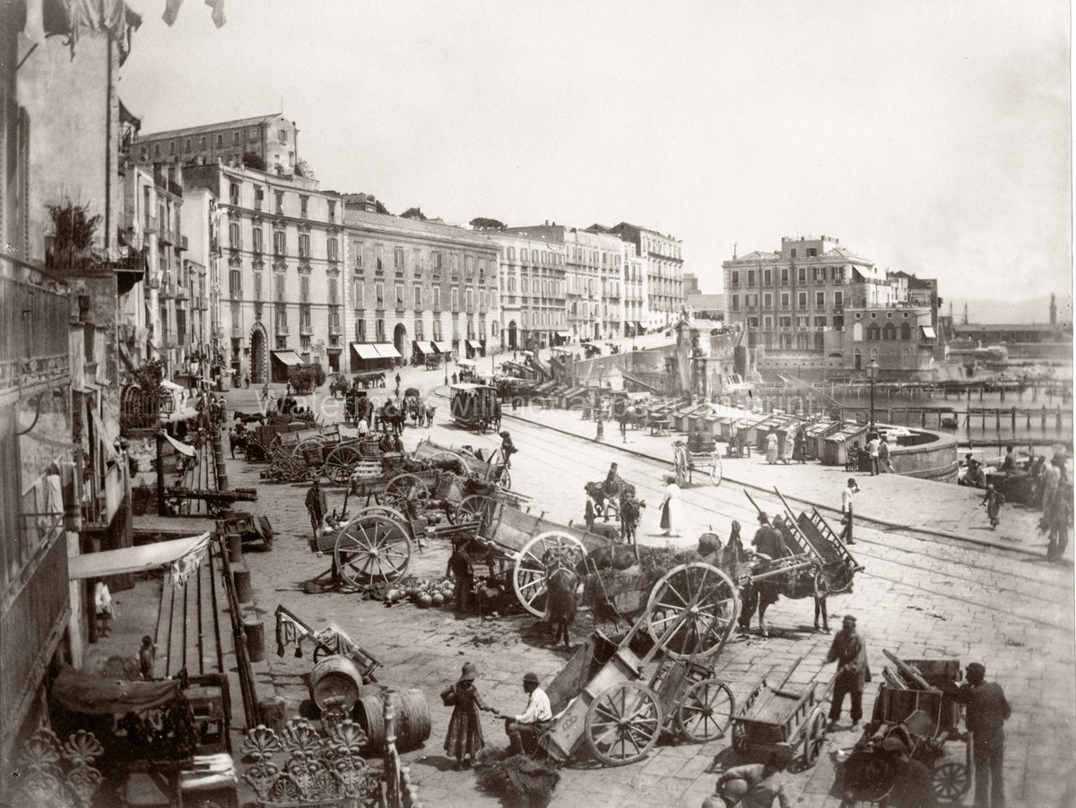 Naples Napoli Seafront Harbor Street Scene Carts Vtg. Photo 19thC.