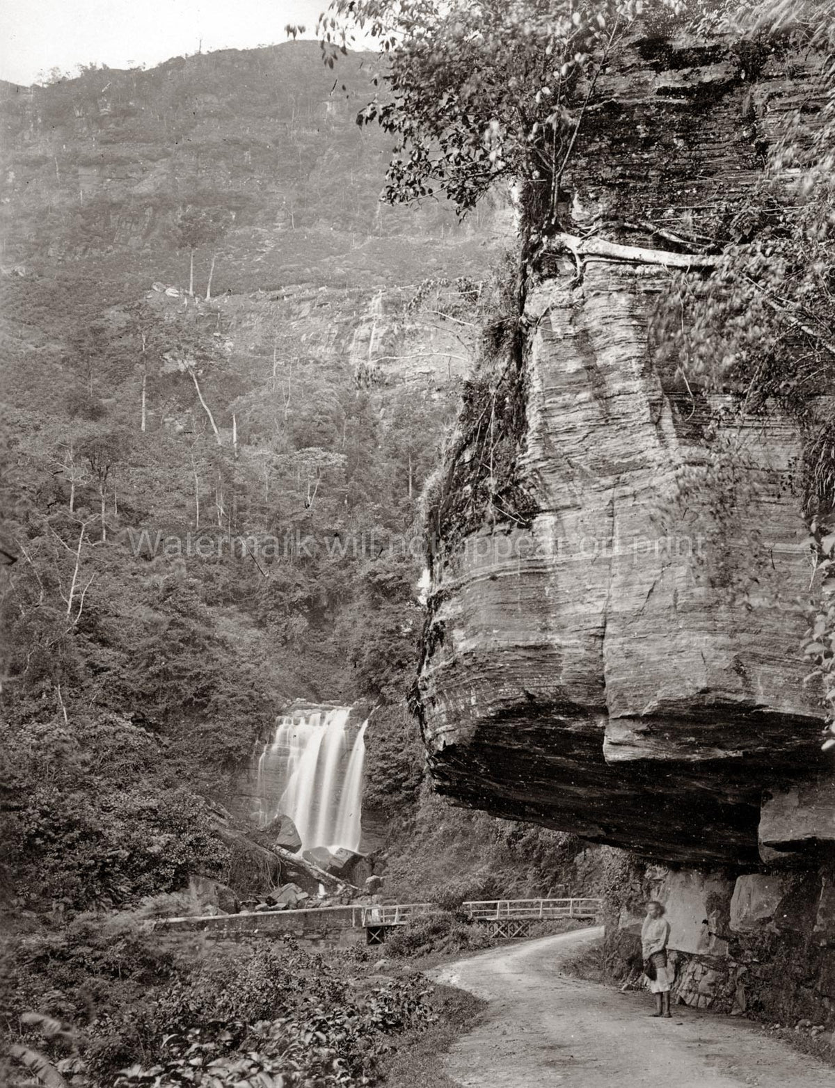 Ceylon Sri Lanka Ramboda Waterfall Road Mountain Landscape Vtg. Photo 19thC.