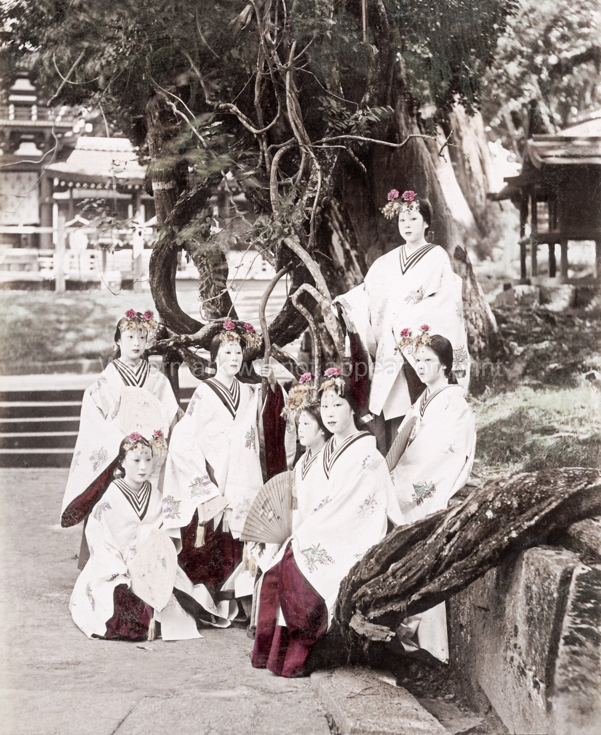 Japan Miko Temple Maidens Group Portrait Kimono Shrine Vtg. Photo 19thC.