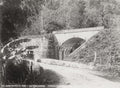 Jamaica Bog Walk Bridge River Cobre Road Carriage Jungle Vtg. Photo 19thC.