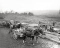 WW1 Troops Advanced Water Supply France Soldiers Mules Carts Vtg. Photo