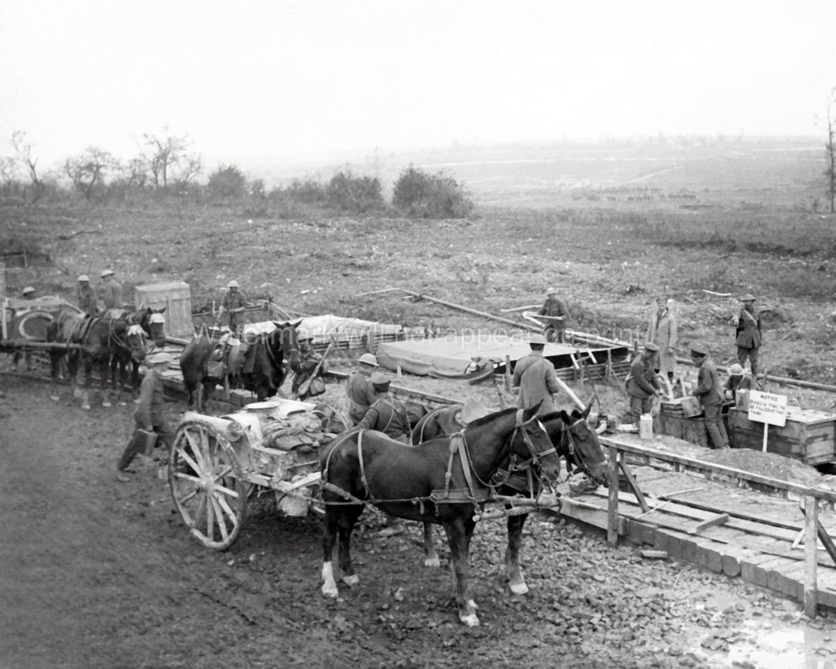 WW1 Troops Advanced Water Supply France Soldiers Mules Carts Vtg. Photo