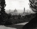 Florence Italy Cityscape from Boboli Gardens Duomo Skyline Vtg. Photo 19thC.