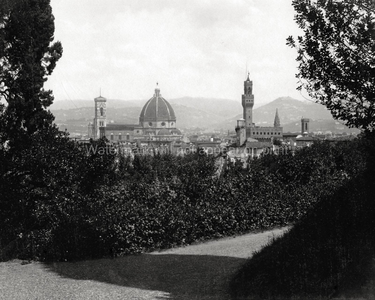 Florence Italy Cityscape from Boboli Gardens Duomo Skyline Vtg. Photo 19thC.
