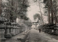 Uyeno Tokyo Shrine Temple Grounds Stone Lanterns Torii Gate Vtg. Photo 19thC.