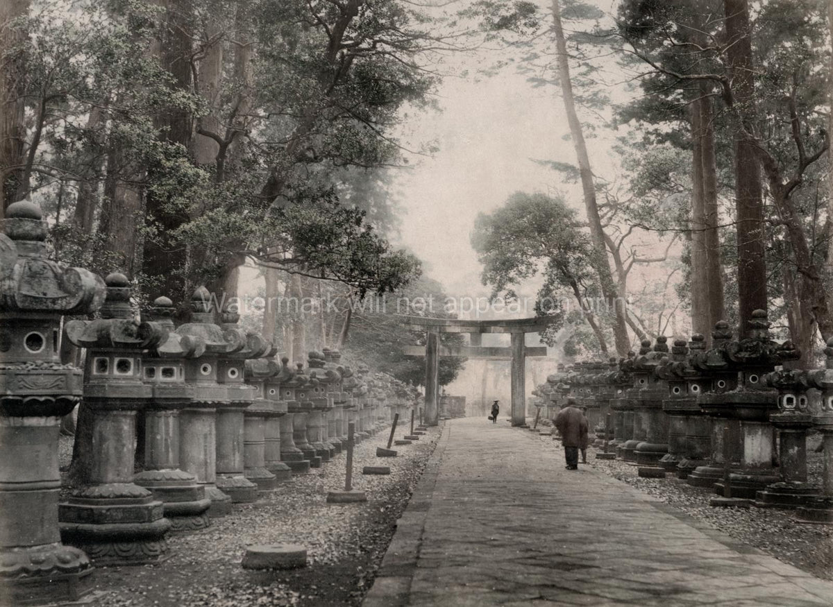 Uyeno Tokyo Shrine Temple Grounds Stone Lanterns Torii Gate Vtg. Photo 19thC.