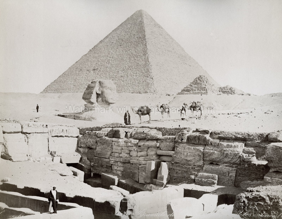 Giza Egypt Pyramids Sphinx Camels Desert Ruins Ancient Vtg. Photo 19thC.
