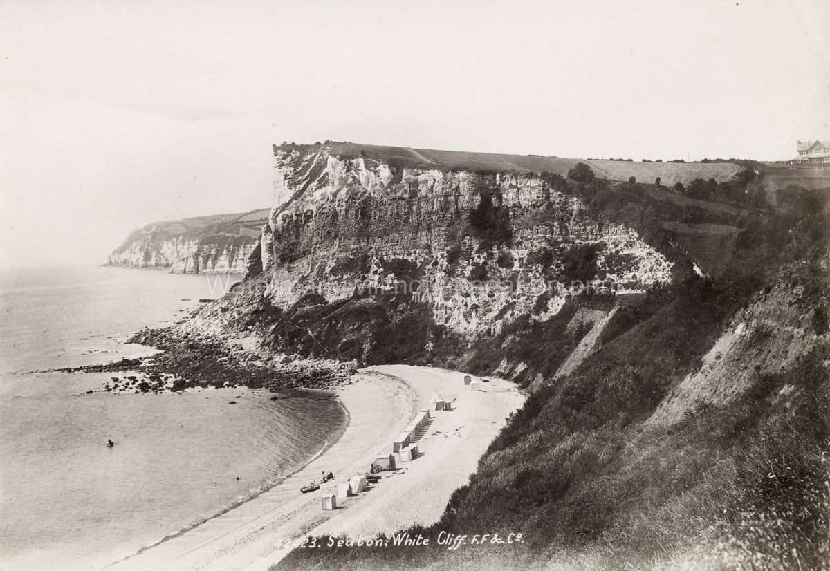 Seaton White Cliffs Beach Coastline Seaside Bathing Huts Vtg. Photo 19thC.