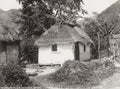 Jamaica Rio Cobre Thatched House Hut Rural Tropical Dwelling Vtg. Photo 19thC.