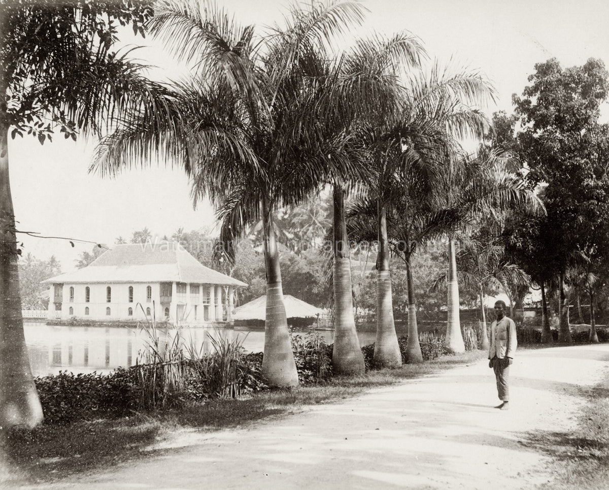 Kandy Ceylon Sri Lanka Lake Palm Trees Building Man Path Vtg. Photo 19thC.