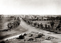 Adelaide Australia Cityscape Panoramic View Tree-Lined Road Vtg. Photo 19thC.