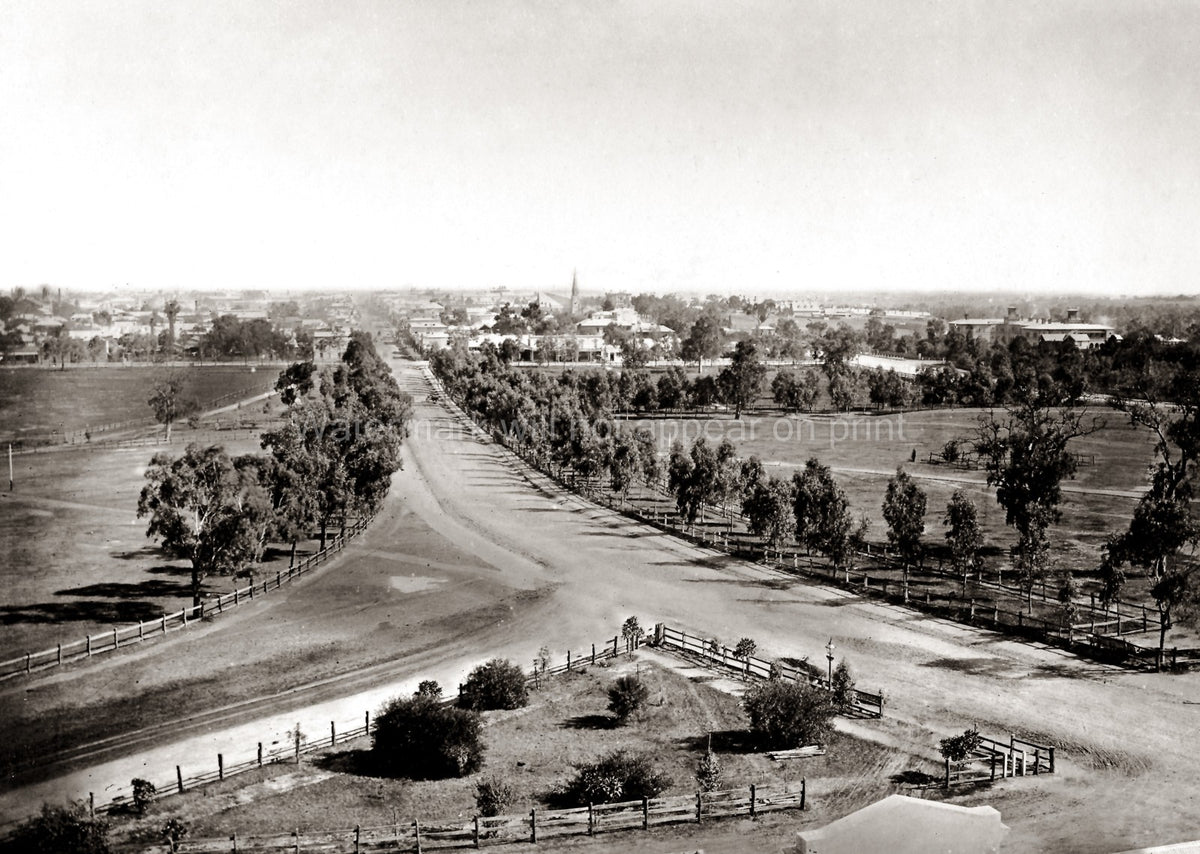 Adelaide Australia Cityscape Panoramic View Tree-Lined Road Vtg. Photo 19thC.