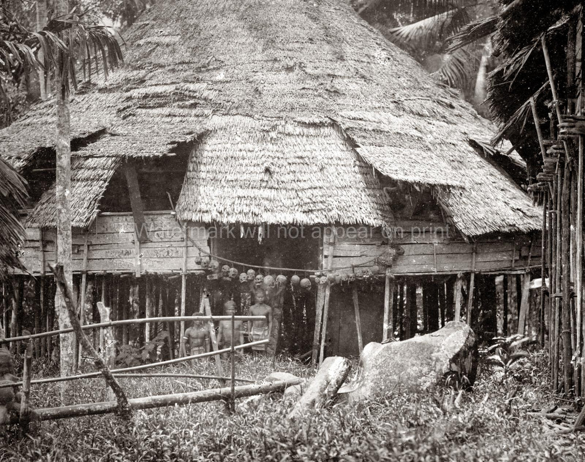 Headhunting Tribe House With Skulls Indigenous People Ritual Vtg. Photo 19thC.