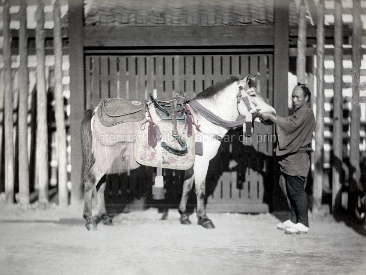 Japan Horse Ornate Saddlery Groom Stable Gate Traditional Vtg. Photo 19thC.