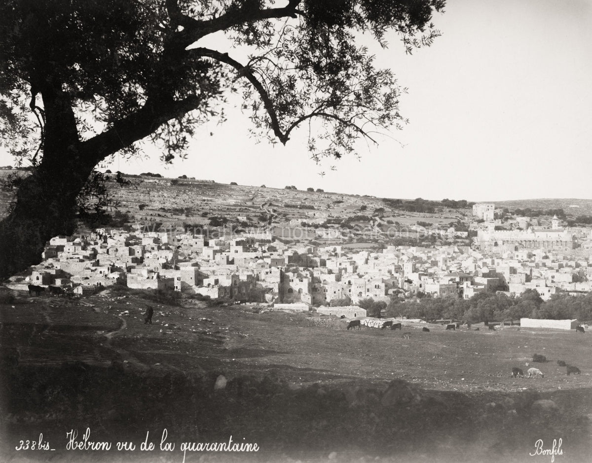 Hebron Cityscape Palestine Holy Land Architecture Landscape Vtg. Photo 19thC.
