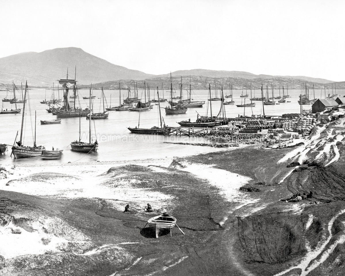 Vatersay Barra Outer Hebrides Scotland Fishing Fleet Harbor Vtg. Photo 19thC.