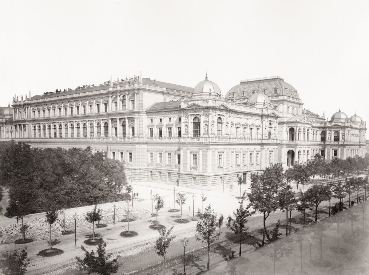 University Vienna Austria Grand Architecture Facade Cityscape Vtg. Photo 19thC.