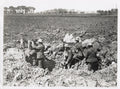 WW1 Messenger Dog Delivering Message Soldiers Trench Vtg. Photo
