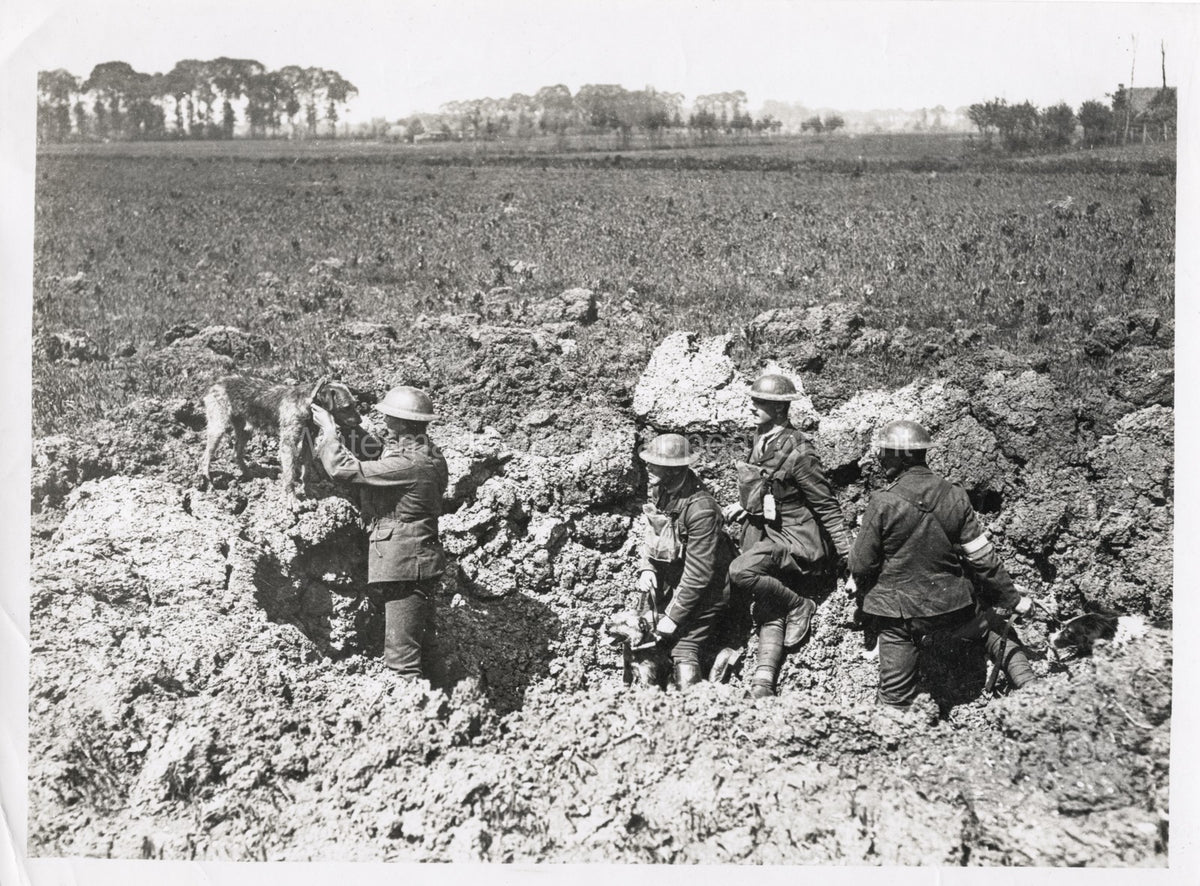 WW1 Messenger Dog Delivering Message Soldiers Trench Vtg. Photo