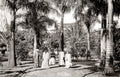 Queen Hospital Hawaii Palm Trees Women Garden Tropical Scenery Vtg. Photo 19thC.