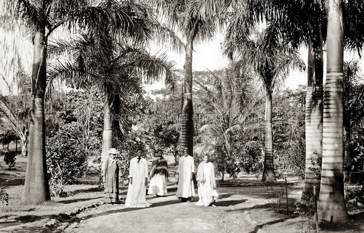 Queen Hospital Hawaii Palm Trees Women Garden Tropical Scenery Vtg. Photo 19thC.