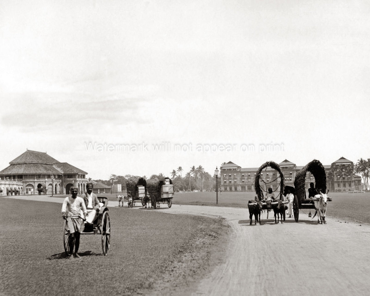 Galle Face Hotel Ceylon Sri Lanka Rickshaw Bullock Carts Vtg. Photo 19thC.