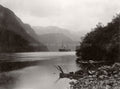 Wet Jacket Arm New Zealand Sound Boat Steamship Fjord Vtg. Photo 19thC.