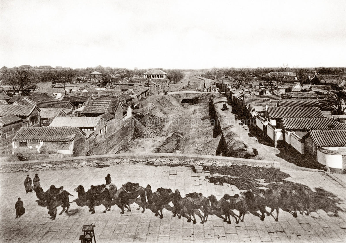 China Peking Beijing Legation Quarter Camel Caravan Cityscape Vtg. Photo 19thC.