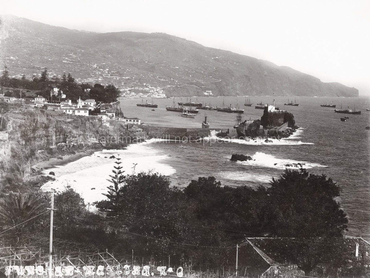 Funchal Madeira Portugal Coastal Seascape Harbor Ships Vtg. Photo 19thC.