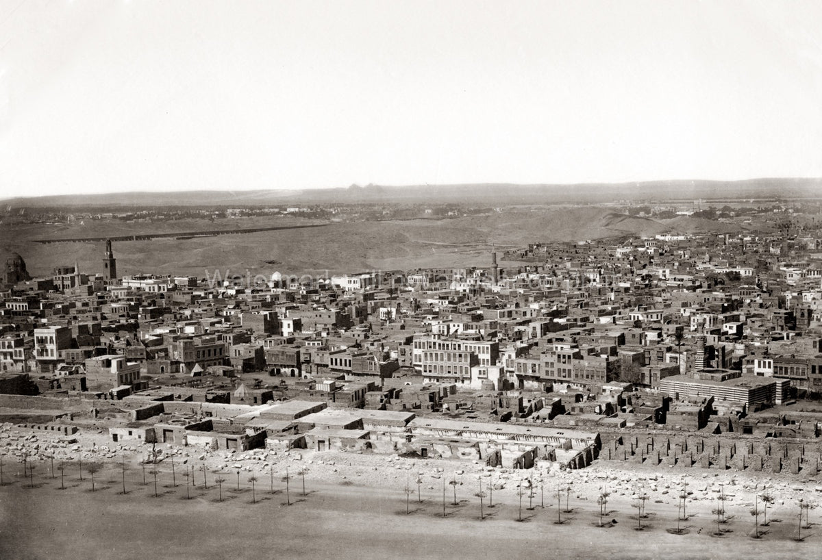 Cairo Egypt City View Pyramids Rooftops Minaret Vtg. Photo 19thC.