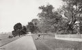 Government House Walk Barrackpore India Park People Trees Vtg. Photo 19thC.
