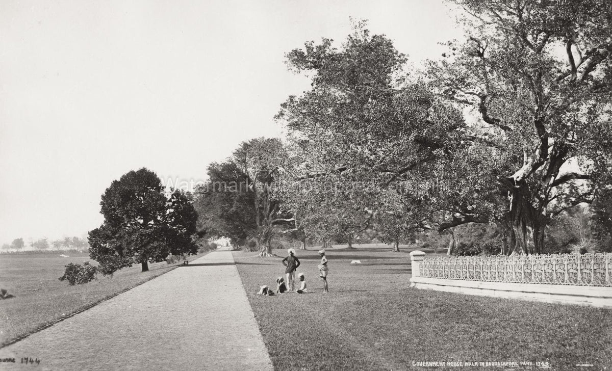Government House Walk Barrackpore India Park People Trees Vtg. Photo 19thC.