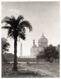 Taj Mahal Agra India Palm Tree Mausoleum Landmark Architecture Vtg. Photo 19thC.