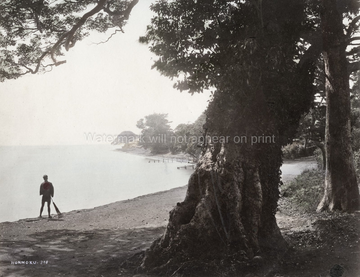 Honmoku Japan Bathing Place Yokohama Coastline Man Sweeping Vtg. Photo 19thC.