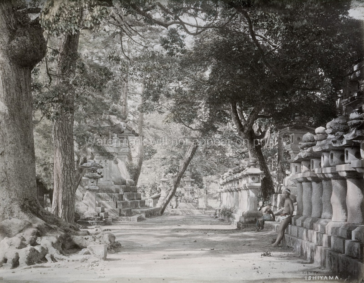 Ishiyama Temple Japan Path Lined Stone Lanterns Vtg. Photo 19thC.